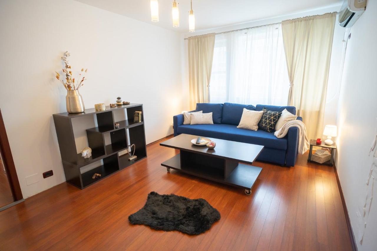 Spacious 2Br Dristor Apartment Bukarest Eksteriør billede